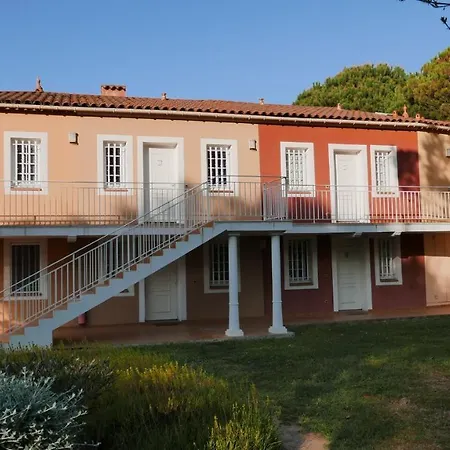 Le Dramont Vue Panoramique Foret * Saint-Raphael (Var)