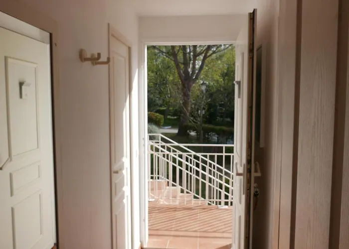 Le Dramont Vue Panoramique Foret *