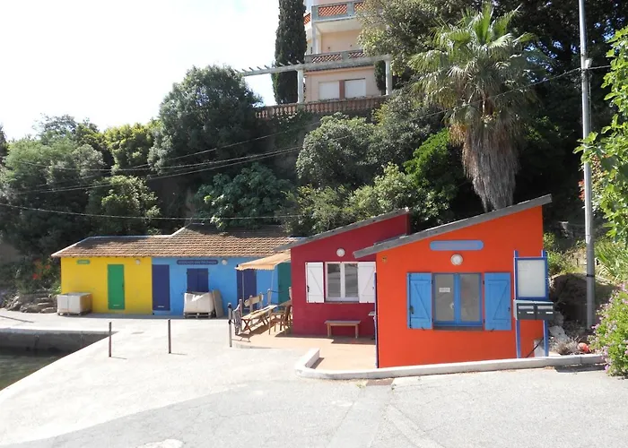 Le Dramont Vue Panoramique Foret Saint-Raphaël