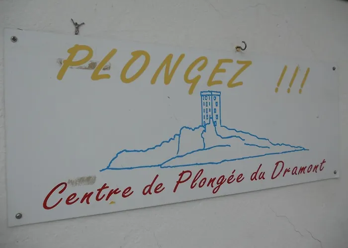 Le Dramont Vue Panoramique Foret