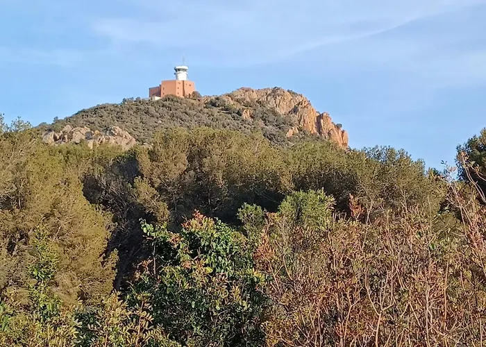Le Dramont Vue Panoramique Foret Saint-Raphaël