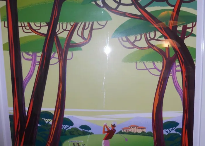 Le Dramont Vue Panoramique Foret *