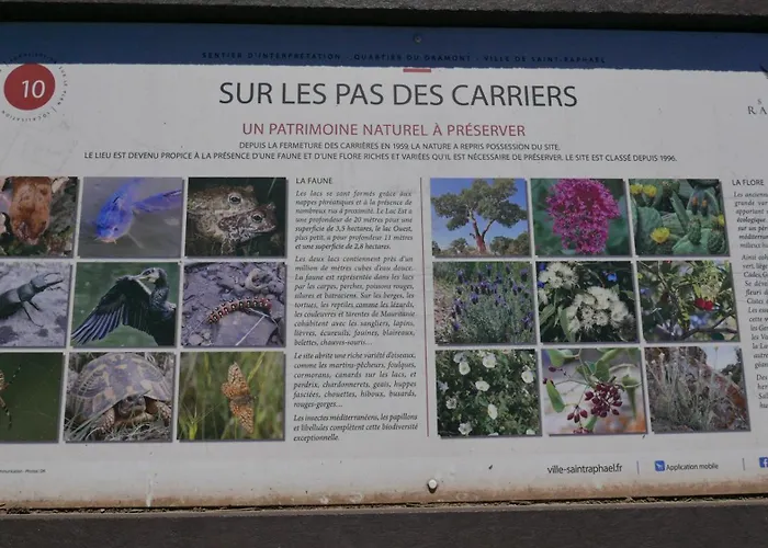 Le Dramont Vue Panoramique Foret Saint-Raphaël