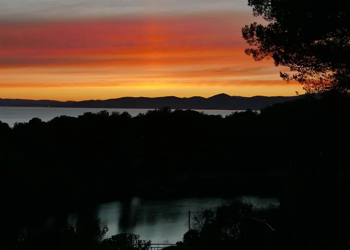 Le Dramont Vue Panoramique Foret 아파트 *
