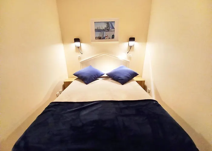 Le Dramont Vue Panoramique Foret Saint-Raphaël