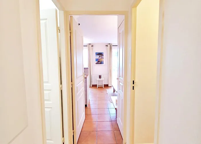 Le Dramont Vue Panoramique Foret