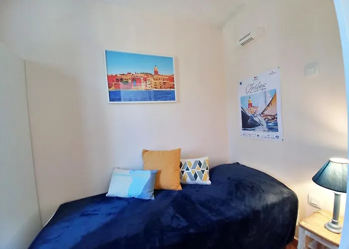 Le Dramont Vue Panoramique Foret Saint-Raphaël